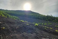 富士登山シャイニングツアー（１泊２日）