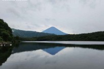 樹海モーニングツアー