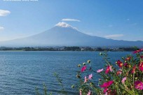 樹海モーニングツアー
