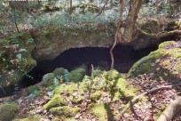 星のや富士様「樹海溶岩ハイキング」