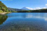 星のや富士様「樹海溶岩ハイキング」