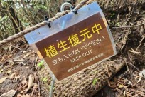 環境省：富士箱根伊豆国立公園(富士山麓エリア)｢国立公園の保全と利用の好循環を目指す仕組みの検討トレイル整備」出席