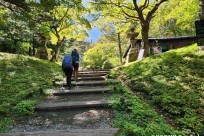 富士山信仰の吉田口登山道ツアー