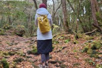 樹海モーニングツアー