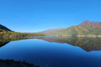 樹海モーニングツアー