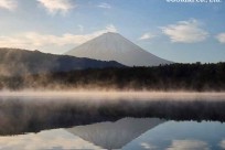 樹海モーニングツアー