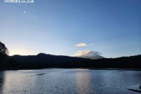 樹海モーニングツアー
