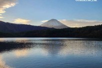 樹海モーニングツアー