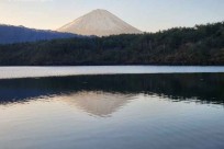 樹海モーニングツアー