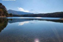 樹海モーニングツアー