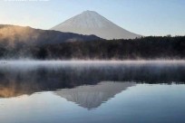 樹海モーニングツアー