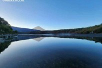 樹海モーニングツアー