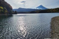 樹海モーニングツアー