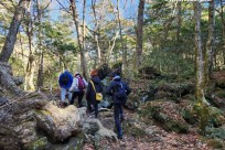 樹海モーニングツアー