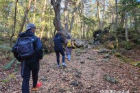 樹海モーニングツアー