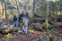 樹海モーニングツアー