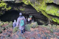 樹海モーニングツアー