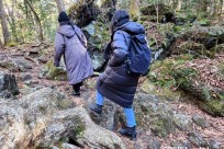 樹海モーニングツアー