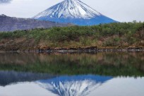 樹海モーニングツアー