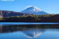 星のや富士様　「樹海溶岩ハイキング」
