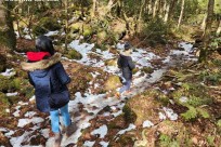 樹海モーニングツアー
