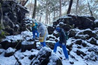 樹海モーニングツアー