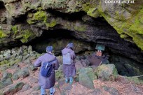 樹海モーニングツアー