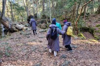 樹海モーニングツアー