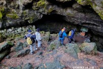 樹海モーニングツアー