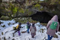 樹海モーニングツアー