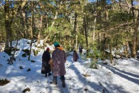 樹海モーニングツアー