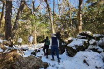 樹海モーニングツアー
