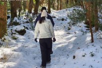 樹海モーニングツアー