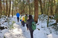 樹海モーニングツアー