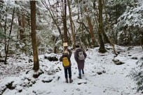 樹海モーニングツアー