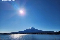 樹海モーニングツアー