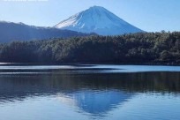 樹海モーニングツアー