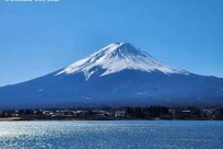 樹海モーニングツアー