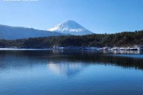 樹海モーニングツアー