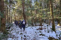 樹海モーニングツアー