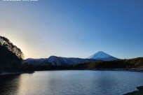 樹海モーニングツアー