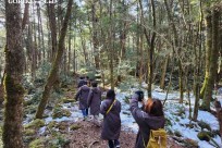 樹海モーニングツアー