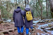 樹海モーニングツアー