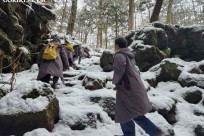 樹海モーニングツアー