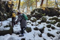 樹海モーニングツアー