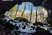 樹海モーニングツアー