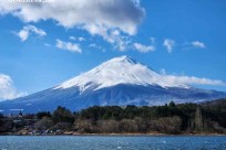 樹海モーニングツアー