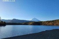 樹海モーニングツアー