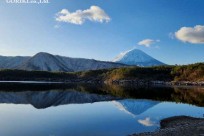 樹海モーニングツアー