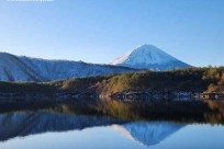 樹海モーニングツアー